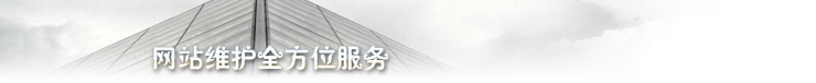 网站建设 网站维护全方位服务 标准网站,网站建设,域名注册,虚拟主机,独享主机,企业邮箱,网站维护一条龙