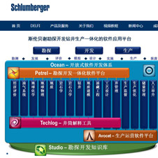 斯伦贝谢科技服务（北京）有限公司网站建设